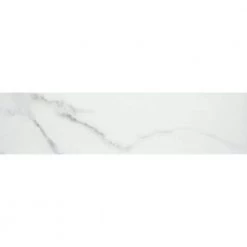 Contessa Dama 2.95 in. x 12.99 in. Matte Porcelain Single Bullnose Tile by EMSER TILE