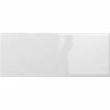 Catch Gray 3.94 in. x 9.84 in. Glossy Subway Ceramic Wall Tile (10.8 sq. ft./Case) by EMSER TILE -EMSER TILE store gray glossy emser tile ceramic tile 1939950 64 1000
