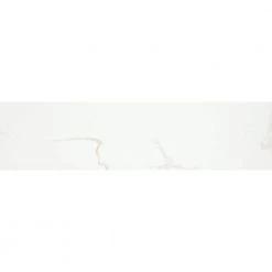 Contessa Oro 2.76 in. x 11.42 in. Polished Porcelain Single Bullnose Tile by EMSER TILE