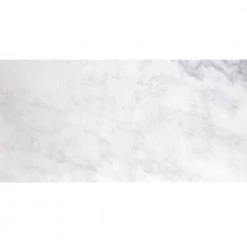 Winter Frost Classico 12 in. x 24 in. Marble Floor and Wall Tile (12 sq. ft. / case) by EMSER TILE