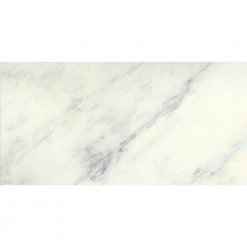 Marble Winter Frost 12.01 in. x 24.02 in. Honed Marble Look Marble Floor & Wall Tile (2.003 sq. ft./each) by EMSER TILE