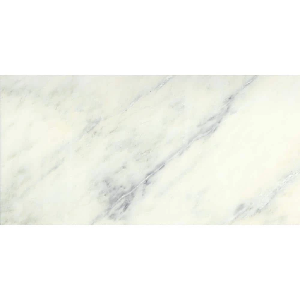 Marble Winter Frost 12.01 in. x 24.02 in. Honed Marble Look Marble Floor & Wall Tile (2.003 sq. ft./each) by EMSER TILE 3 Marble Winter Frost 12.01 in. x 24.02 in. Honed Marble Look Marble Floor & Wall Tile (2.003 sq. ft./each) by EMSER TILE